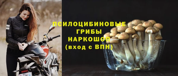 трава Армянск