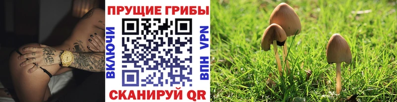 сколько стоит  Белая Калитва  Галлюциногенные грибы ЛСД 