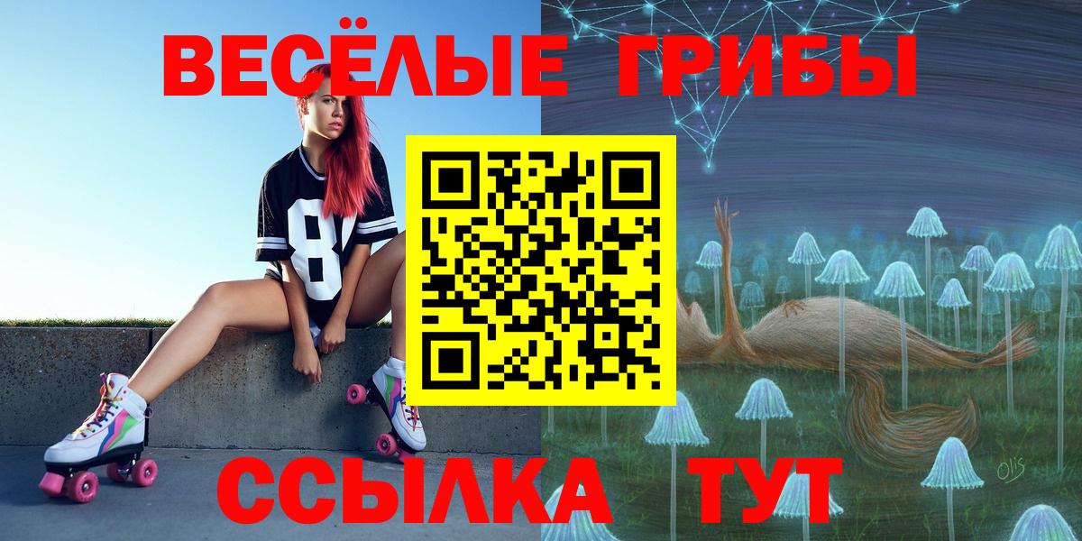 Псилоцибиновые грибы Cubensis Белая Калитва